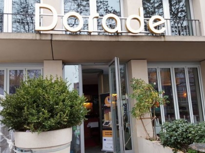 Photo: Dorade